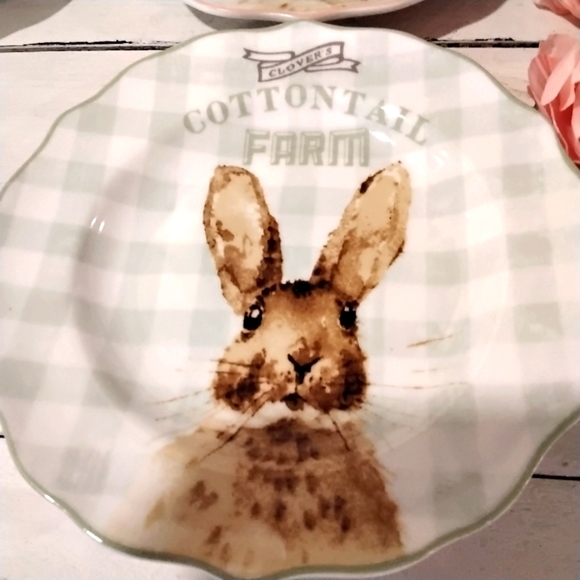 Cottontail Farms Bunny Rabbits Plates 🐇 nwob - Picture 5 of 6